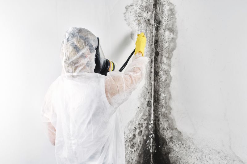 Air Duct Mold Removal in Fort Lauderdale, FL