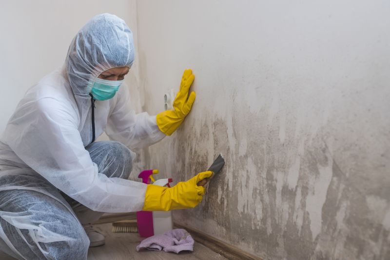 Air Duct Mold Removal in Bergen County, NJ