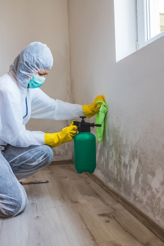 Basement Mold Removal in Dallas, TX