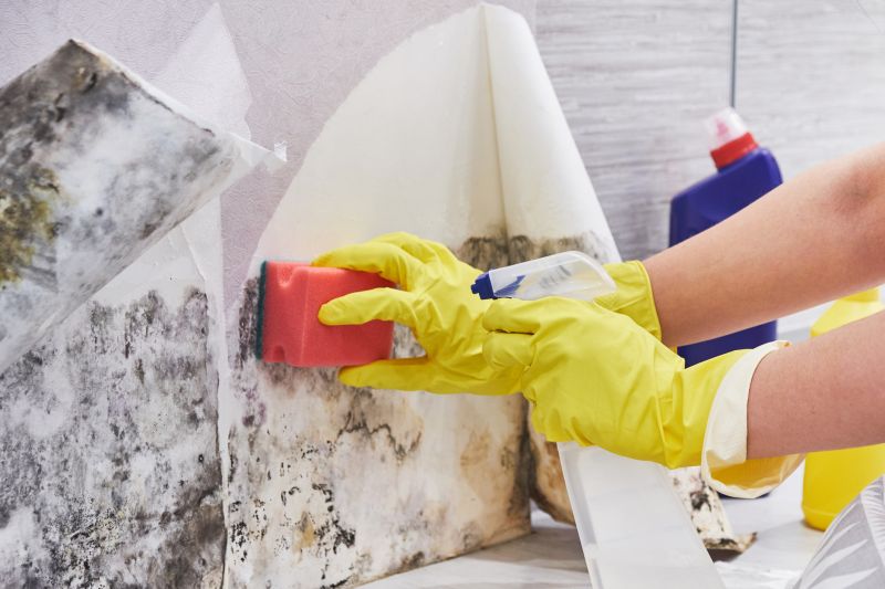 Crawlspace Mold Remediation in West Palm Beach, FL