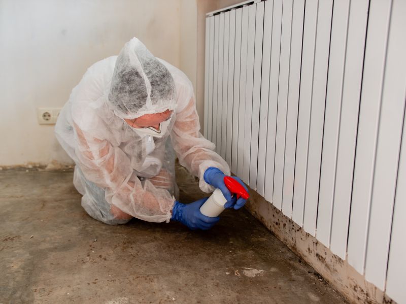 Garage Mold Remediation in West Palm Beach, FL