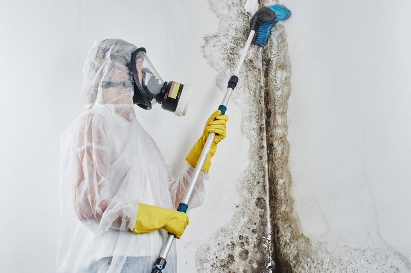 Garage Mold Remediation in Boca Raton, FL