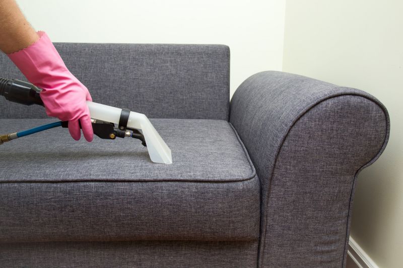 Furniture and Upholstery Cleaning