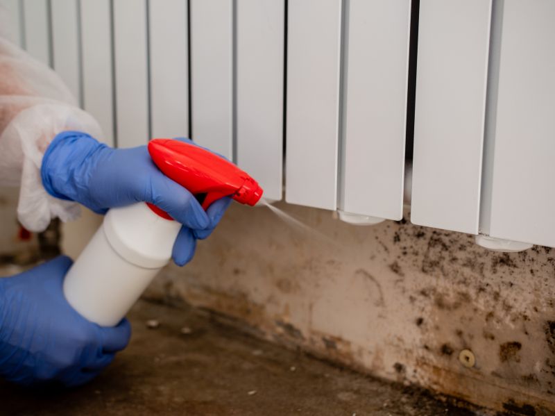Mold Remediation Service in Frisco, TX