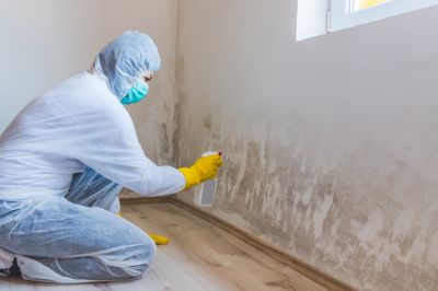 Mold Remediation Service in Fort Worth, TX