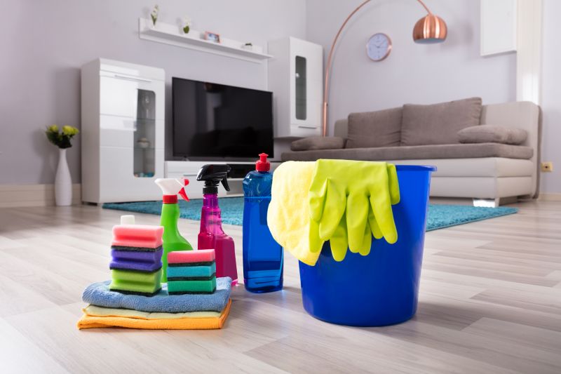 Products For House Cleanings in use