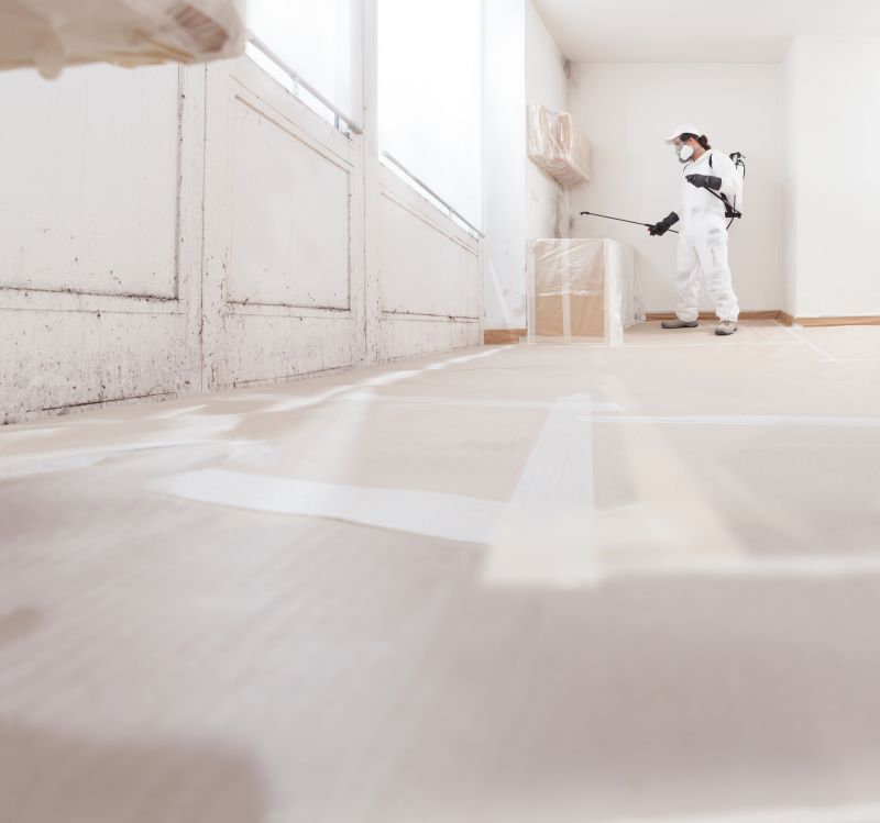 Attic Mold Remediation in Dallas, TX