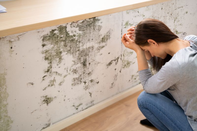 Attic Mold Remediation in Jupiter, FL