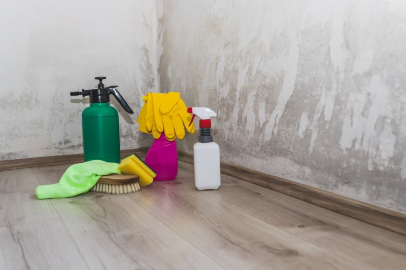 Black Mold Remediation in Broward County, FL