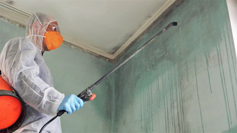 Garage Mold Remediation in Fort Lauderdale, FL