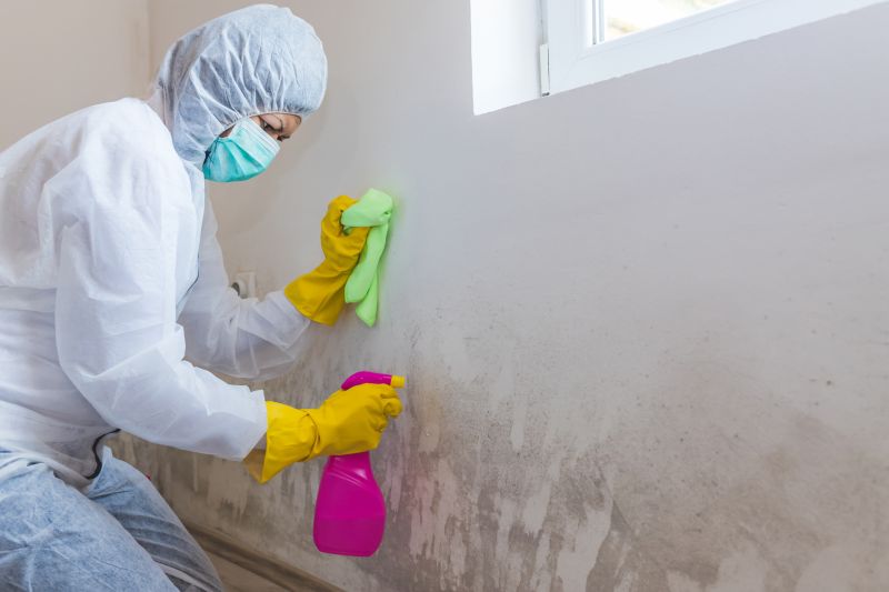 Mold Mitigation Service in Fort Worth, TX