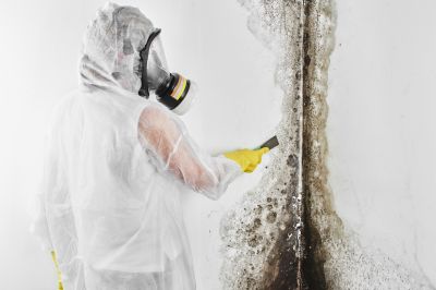Mold Remediation Service in Fort Lauderdale, FL